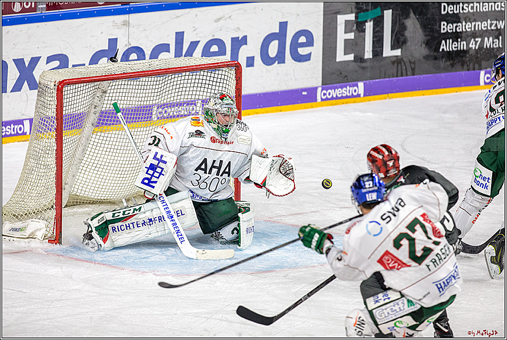 DEL Koelner Haie - Augsburg Panther, 14.09.2018